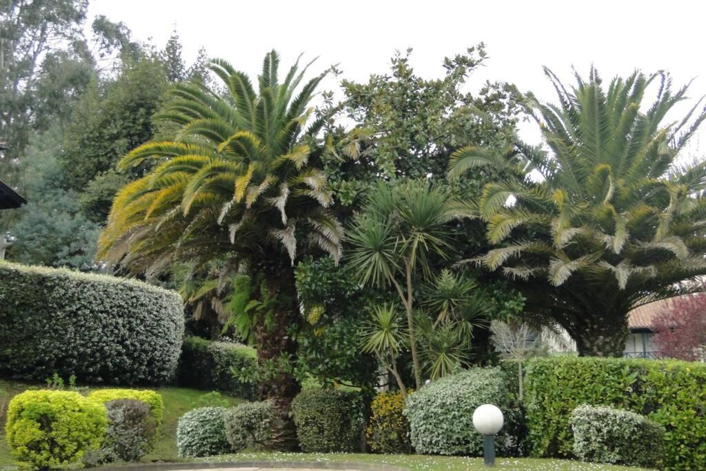 Ciboure:T2, Proximite Golf Et Plages, Vue Sur Mer Bagian luar foto